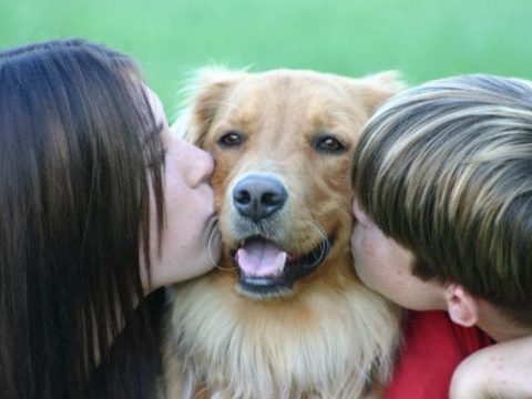 Почему нельзя целовать собаку?